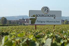 (image for) Guillamard Pothier BEAUNE GREVES 2009 (GL)